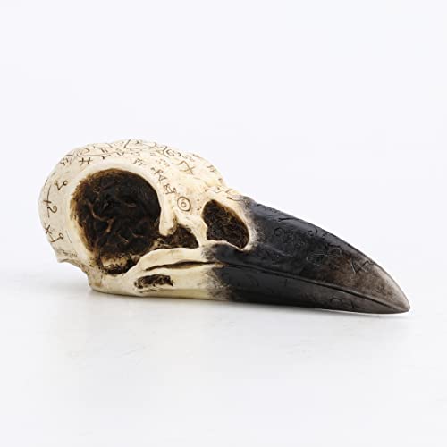 Unicorn Studio Veronese Design 6 1/4 Inch Occult Ritual Raven Skull Wtichcraft Home Decor Resin Animal Sculpture