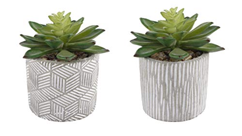 Flora Bunda Mid Century Artificial Plants Cactus Set of 2 Artificial Succulent in 3" Cement Pot Grey Planter, 2 Fake Potted Plants, for Home Office Decorations