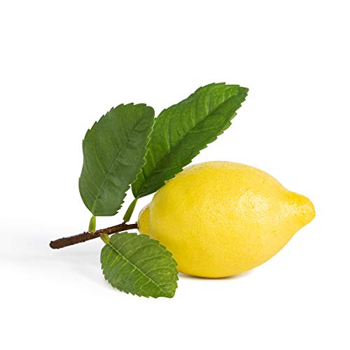 Park Hill Collection EBY10408 Lemon with Leaf Artificial Faux Fruit D√Å√º√°cor, 5-inch Height
