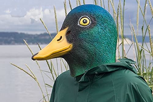 Archie Mcphee 12547 Mallard Duck Mask Deluxe Full Face Head Bird Latex Rubber Animal Costume