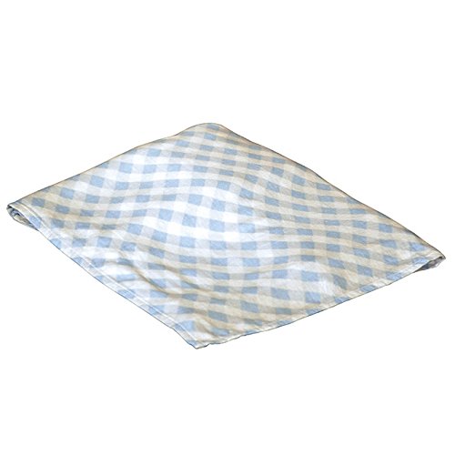 Birchwood Applesauce Rayon Swaddle Blanket, Blue Gingham
