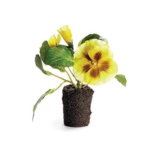 Napa Home & Garden Pansy Drop-in 6.5" Yellow