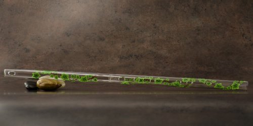 Hall Crystal Flutes 22204 - Offset Glass Flute in D - Green Ivy