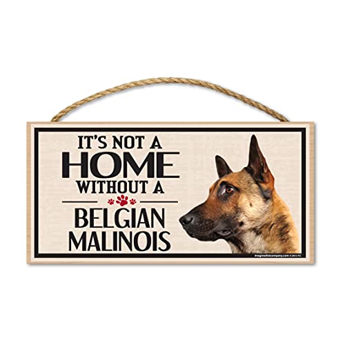 Imagine This Company Wood Sign for Belgian Malinois Dog Breeds