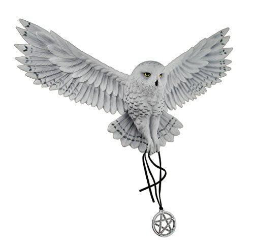 Unicorn Studio Veronese Resin Wall Sculptures Anne Stokes Awaken Your Magic Snowy Owl With Pentagram Pendant Wall Sculpture 17.5 X 11.5 X 4 Inches Light Blue