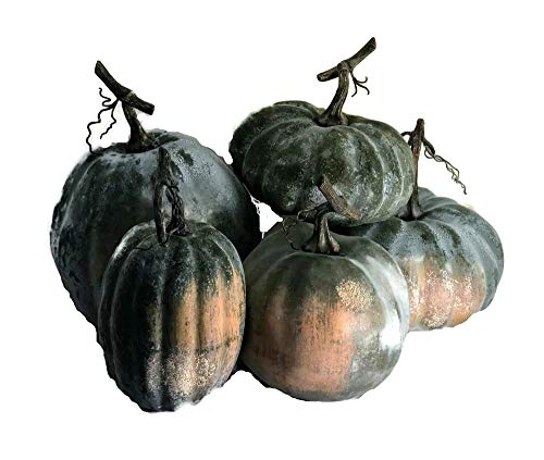 Park Hill Collection, Early Green Pumpkin Collection, Set of 5