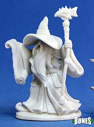 Reaper Miniatures Galladon, Male Wizard (1)