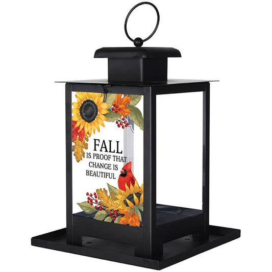 Carson Home Change Bird Feeder, 12-inch Height, Metal and Glass