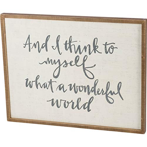 Primitives by Kathy Inset Box Sign Think To Myself Wonderful World