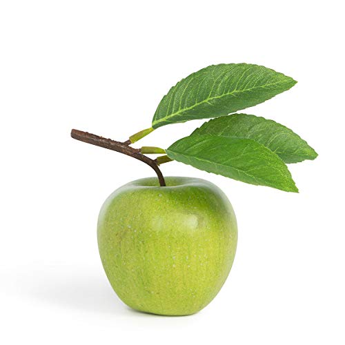 Park Hill Collection EBY10406 Apple with Leaf, 5-inch Width, Green