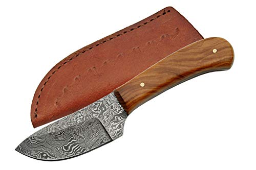 SZCO Supplies DM-1080OW Damascus Skinning Knife with Olive Wood Handle