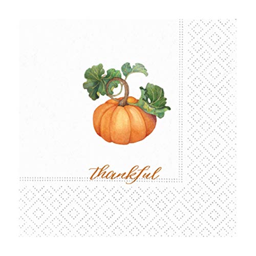 Design Design 624-09708 Thanksgiving Cocktail Napkins (Thankful Pumpkin)
