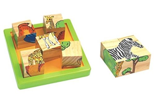 CHH Wooden Block Puzzle (9 Piece)