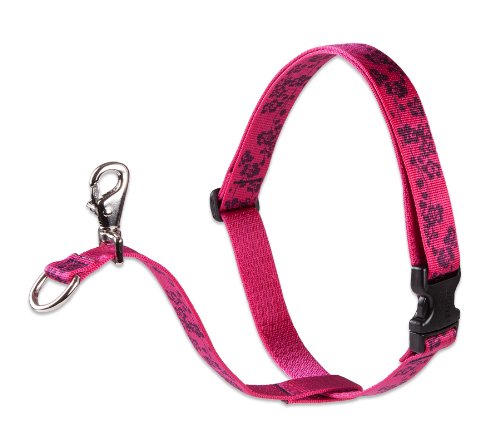Lupine Pet Originals 1" Plum Blossom 26-38" No Pull Harness for Medium-Larger Dogs