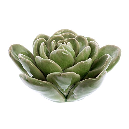 HomArt Large Green Ceramic Succulent