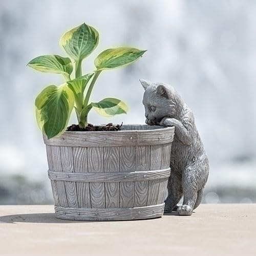 Roman Kitten Bucket Planter, 7.25-inch Height, Resin and Stone Mix, Garden Decoration
