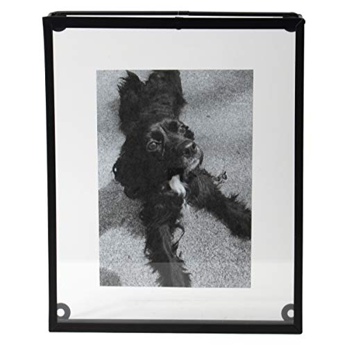 Foreside Home & Garden Black 8 x 10 inch Oversized Metal Decorative Picture Frame