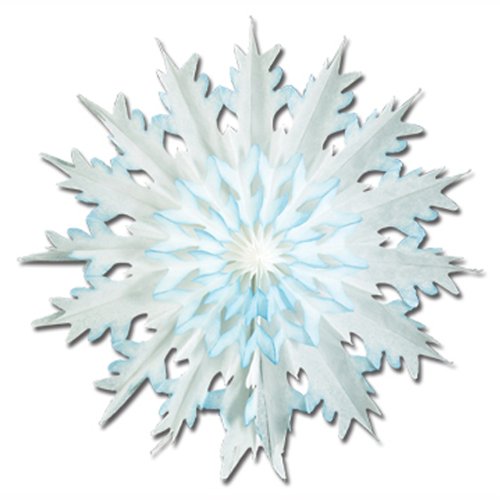 Beistle Pkgd Dip-Dyed Snowflakes (2/Pkg)