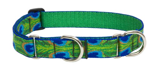 Lupine Pet Originals 1" Tail Feathers 15-22" Martingale Collar for Medium and Larger Dogs