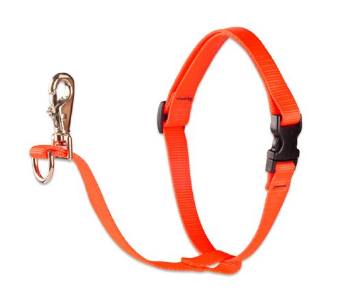 Lupine Pet Basics 3/4" Blaze Orange 16-26" No Pull Harness for Small-Medium Dogs