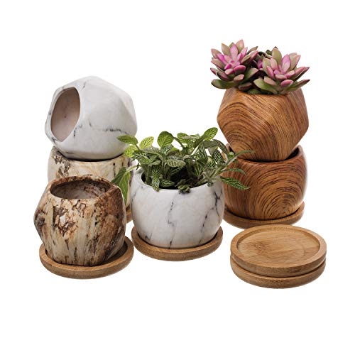 T4U 2.5 Inch Succulent Garden Pot with Bamboo Tray, Small Ceramic Multi Color Windowsill Plant Pot Cactus Herb Planter for Home and Office Decoration Birthday Wedding Pack of 6