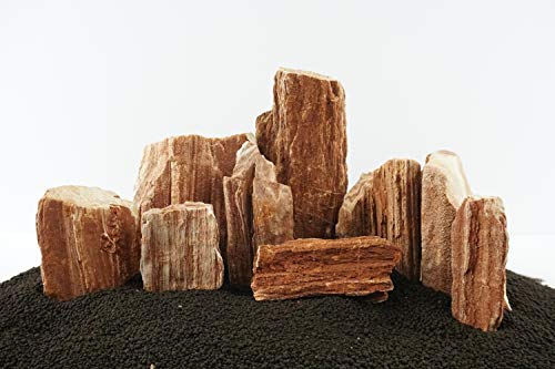 Lifegard Aquatics 10G-Redwood Redwood Petrified Stone 10G Rock Kit,Brown