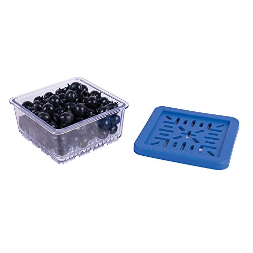HIC Harold Import Co. 93267 Half Pint BerryFresh Produce Box, Blue