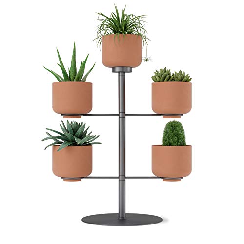 Umbra TERRAPOTTA Planter, Brown