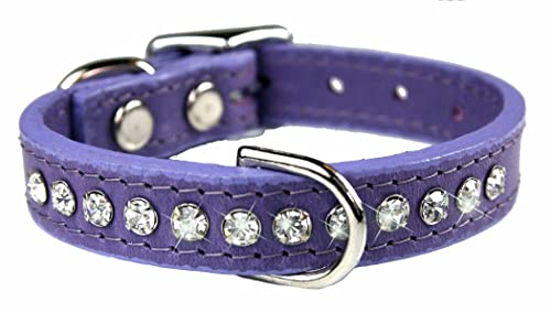 OmniPet Signature Leather Crystal and Leather Dog Collar, 10", Lavender