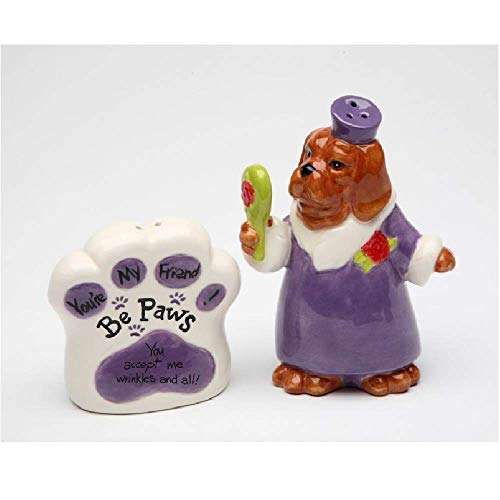 Cosmos Gifts Be Paws You Accept Me Wrinkles and All Dog Salt and Pepper Shakers