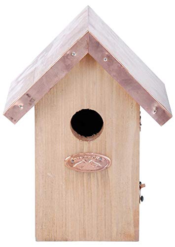 Esschert Design Wren Bird House - Antique Wash with Copper Roof