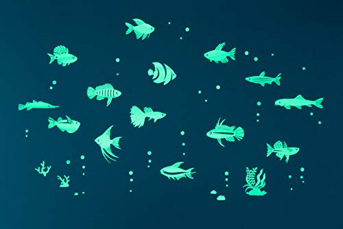 GLOPLAY Tropical Fish Series (63 pcs/Pack), Glow in The Dark Educational Wall Stickers, The Eco-Friendly and Brightest Wall Stickers for Ceiling, Bathtime, Bedroom, Party, Decor, Made in Japan