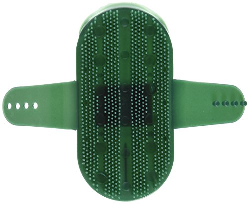 Intrepid International Partrade 244078 111484 Plastic Curry Comb with Strap, Green, 7"