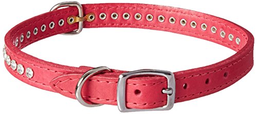 OmniPet Signature Leather Crystal and Leather Dog Collar, 16", Raspberry