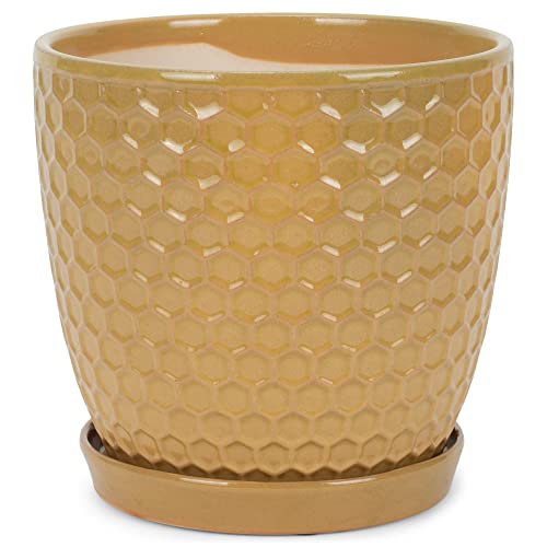 Napco Large Honeycomb 7.25 Inch Diameter Yellow Ceramic Flower Pot Planter with Saucer