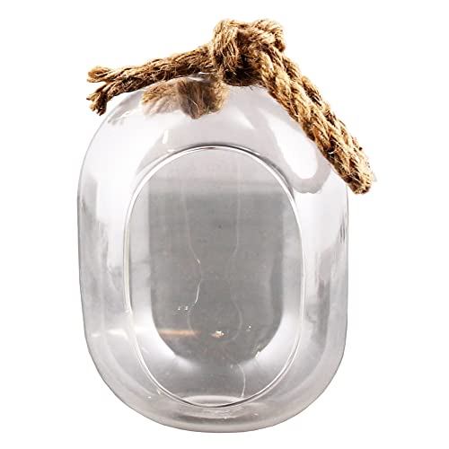 HomArt Sole Hanging Wide Terrarium, 6.50-inch Height, Glass