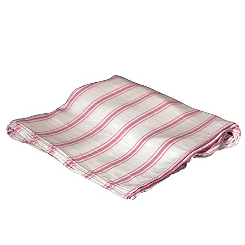 Birchwood Applesauce Rayon Swaddle Blanket, Pink Stripe