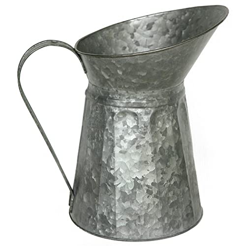 Great Finds FT011 Galvanized Watering Pitcher