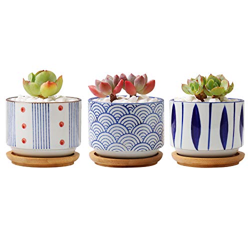 T4U 3 Inch Ceramic Succulent Planter Pots with Bamboo Tray Set of 3, Japanese Style Porcelain Handicraft as Gift for Mom Sister Aunt Best for Home Office Restaurant Table Desk Window Sill Decoration