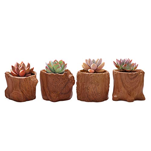 T4U Ceramic Succulent Pots Tree Stump Collection Set of 4, Imitation Wood Grain Small Planter Pot with Drainage, Brown Porcelain Herbs Cactus Bonsai Container for Home and Office Decoration