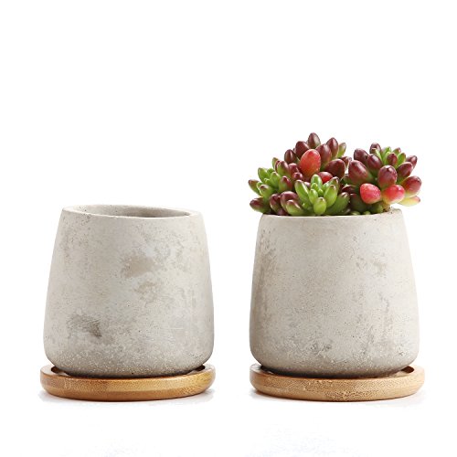 T4U 2.5 Inch Cement Serial Raised Sucuulent Cactus Plant Pots Flower Pots Planters Containers Window Boxes with Bamboo Tray Grey - Pack of 2