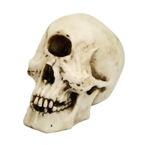 Pacific Trading Giftware Cyclops Skull Collectible Figurine Desktop Home Decor