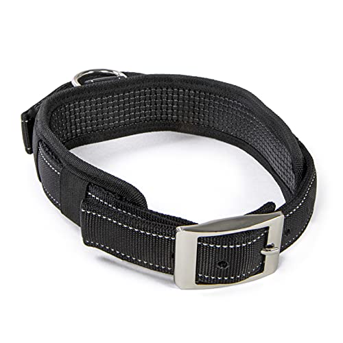 Worldwise Sherpa Dog Collar with Built in Leash, Black, Large (SPT77713)