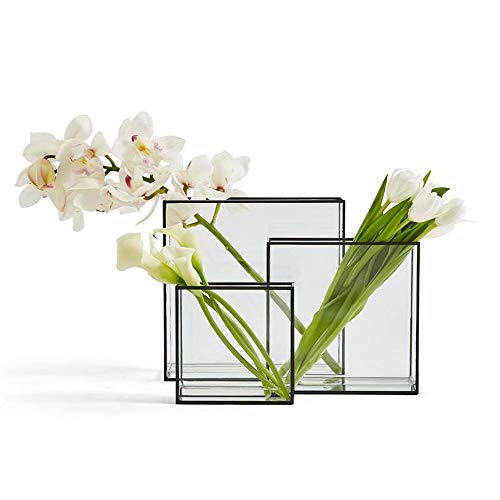 Two's Company Tozai Windows Set of 3 Square Vases with Black Trim