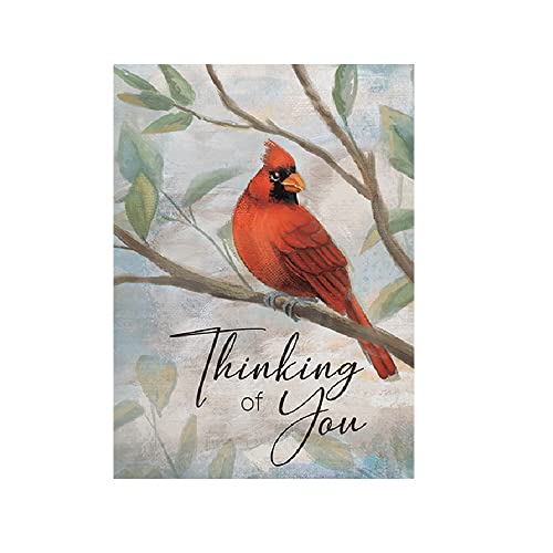Carson 25057 Thinking of You Greeting Card, 6.87-inch Height