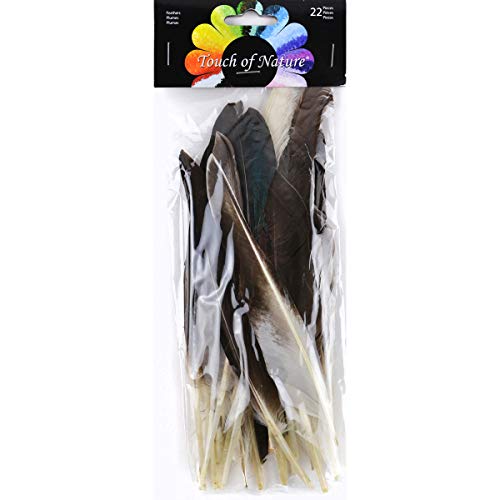 Midwest Design Touch of Nature 22-Piece Duck Wing Quills for Arts and Crafts, 8-Inch, Natural/Grey