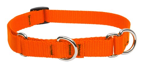 Lupine Pet Basics 3/4" Blaze Orange 10-14" Martingale Collar for Small Dogs