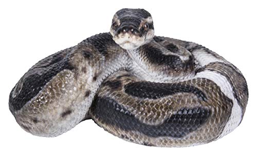 Hi Line Gift 87680-B Regius Ball Python Statue