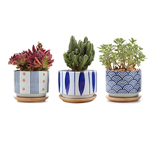 T4U 3 Inch Small Ceramic Japanese Style Succulent Pot Set of 3 with Drainage Bamboo Tray, White Cactus Plant Container Planter Pot for Home Decor, Excluding Plants