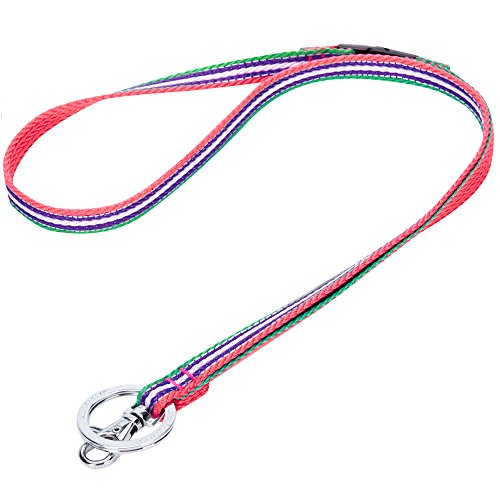 Blueberry Pet 3M Reflective Multi-colored Stripe Pink Emerald and Orchid Men Women Fashion Non Breakaway Lanyard Keychain for Keys / ID Card / Badge Holder, 1/2" Wide